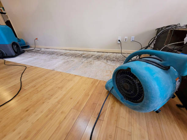 Professional Ceiling Water Damage Repair technician working in Saint Francis, WI